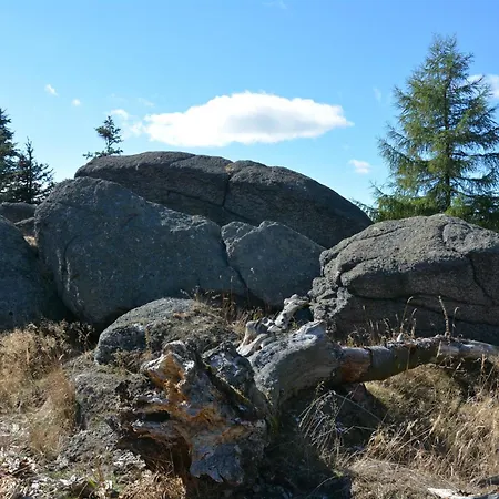 Apartament Verlegerhaus Seiffen