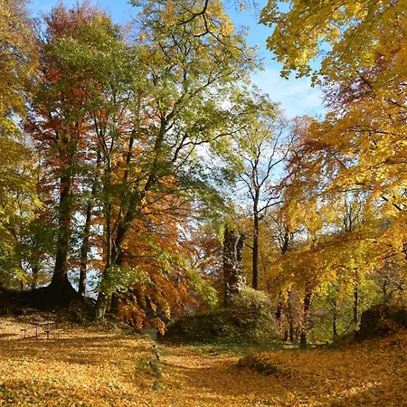 Apartament Verlegerhaus *