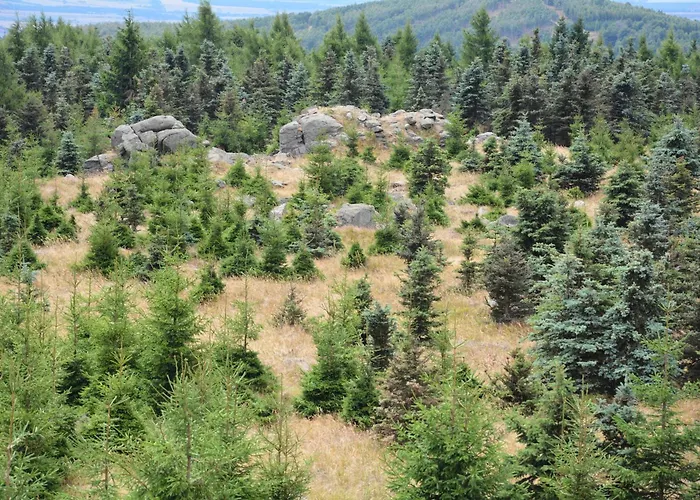 Verlegerhaus شقة *