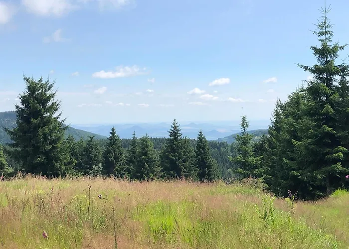 Verlegerhaus شقة سيفن