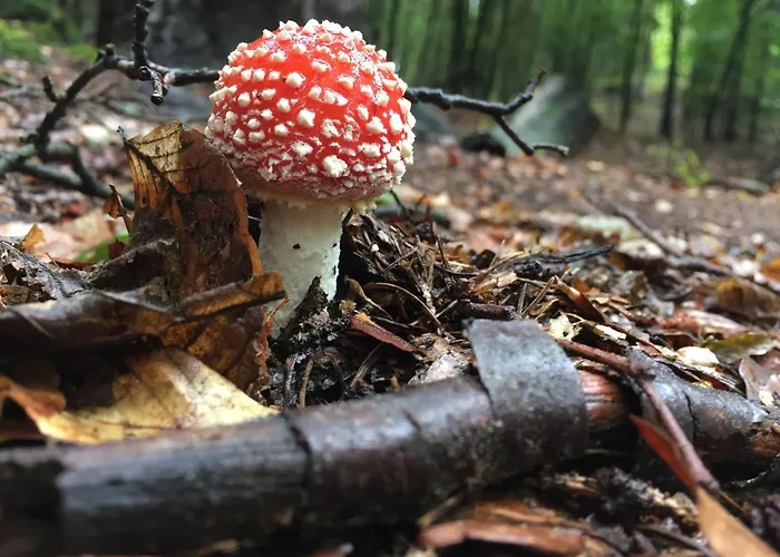 شقة Verlegerhaus سيفن